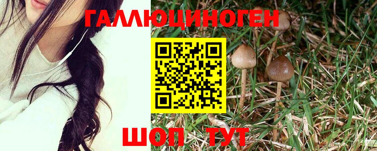 Галлюциногенные грибы MAGIC MUSHROOMS  Вход с VPN  Добрянка  Псилоцибиновые грибы Magic Shrooms 