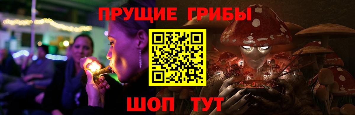 Псилоцибиновые грибы мицелий Добрянка